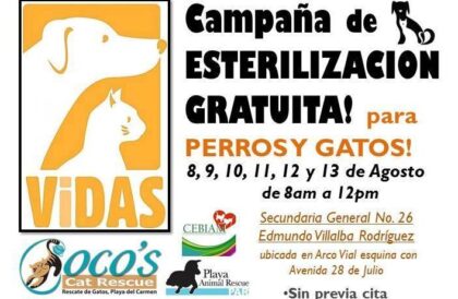 VIDAS August 2014