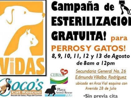 VIDAS August 2014
