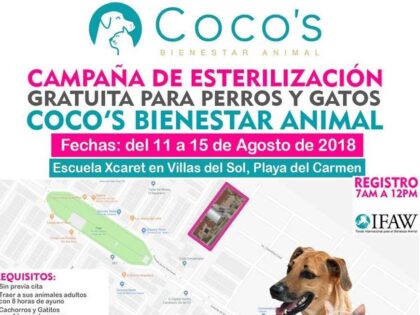 1a Campaña Coco’s 2018
