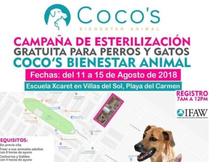 1a Campaña Coco’s 2018