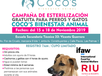 2a Campaña Coco’s 2019