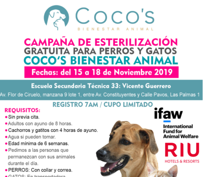 2a Campaña Coco’s 2019