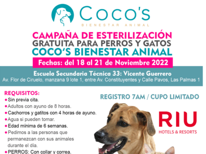 3a Campaña Coco’s 2022