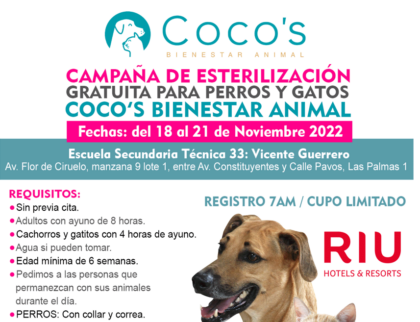 3a Campaña Coco’s 2022