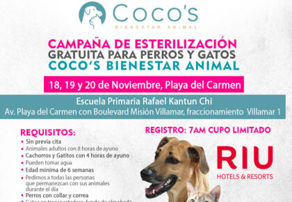 4a Campaña Coco’s 2023