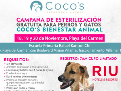 4a Campaña Coco’s 2023