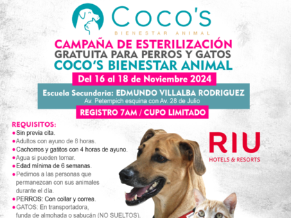 5a Campaña Coco’s 2024