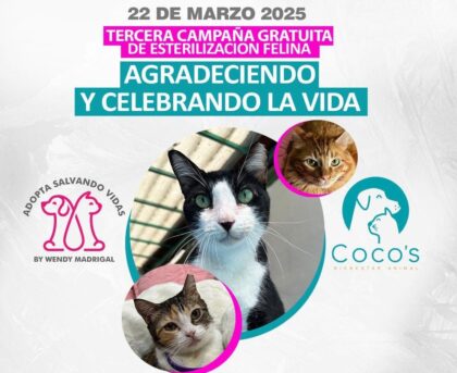 22 de marzo 2025