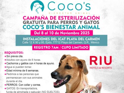 6a Campaña Coco’s 2025