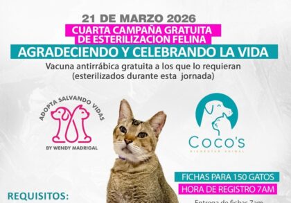 21 de marzo 2026