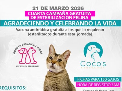 21 de marzo 2026