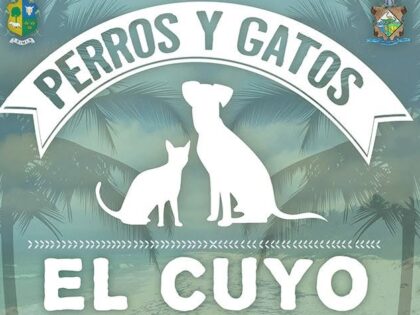 El Cuyo 2017