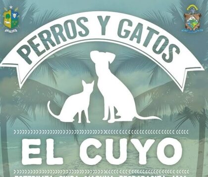 El Cuyo 2017