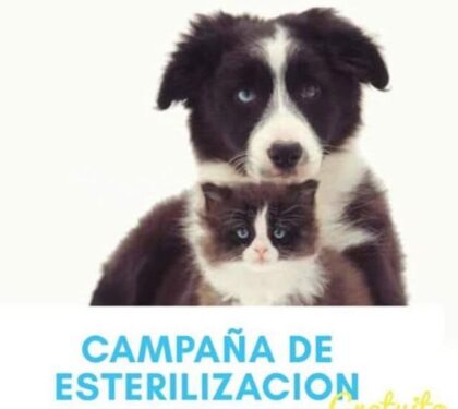 Leona Vicario Clinic Junio 2017